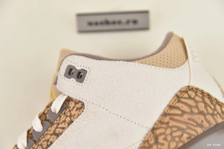 3 Palomino Air Jordan CT8532-102 0425